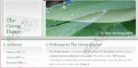 绿叶主题BLOG网页模板