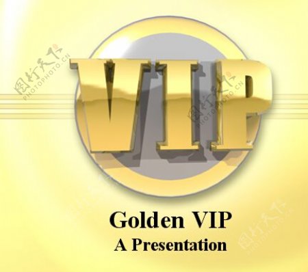 黄金VIP模板