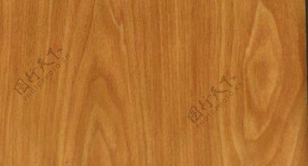 赤杨杉2木纹木纹板材木质