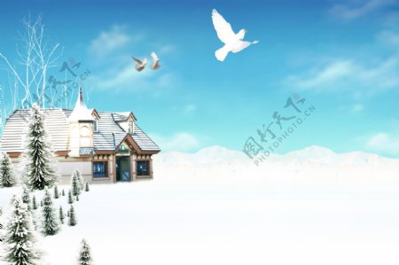 冬天和平鸽外景背景图