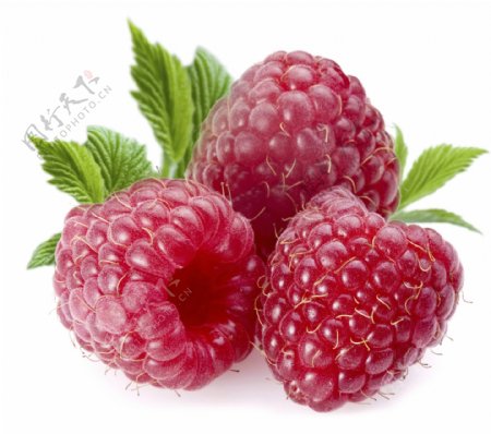水果蔓越莓高清图