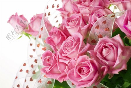 粉色浪漫花束