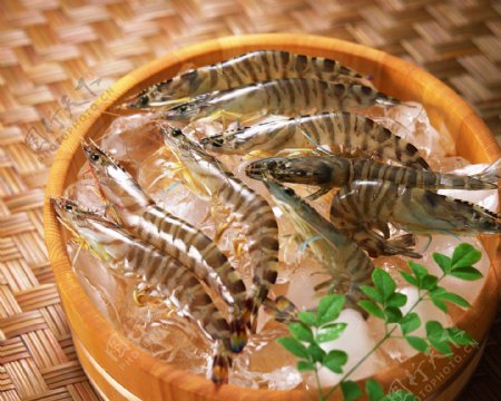 海鲜美食美食美味佳肴特色菜菜肴全方位平面设计素材辞典