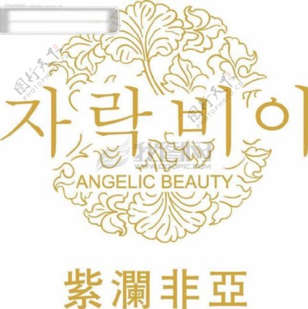 韩国紫兰非亚LOGOlogo艺术字设计logo字体设计logo公司