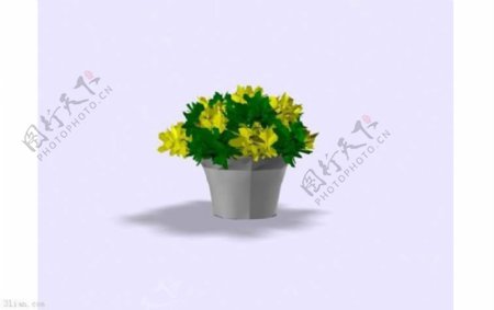 花卉盆栽3D模型