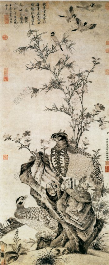 上海博物馆藏中国花鸟画真迹竹石集禽图