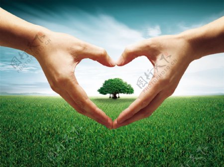 龙腾广告平面广告PSD分层素材源文件设计元素类草坪草地爱心双手树木大树