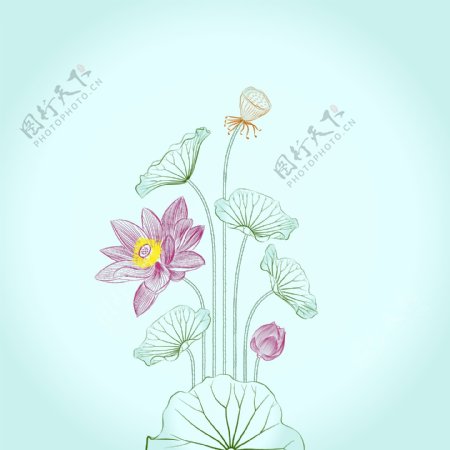 印花矢量图植物花朵手绘简笔免费素材