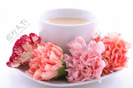 牛奶咖啡鲜花图片