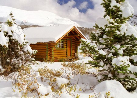 雪景雪地树木枯树冰河房子风景自然景观自然风景摄影图库
