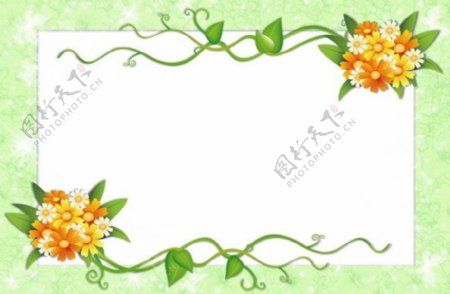 绿色植物花卉相框