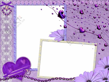 紫色相片边框