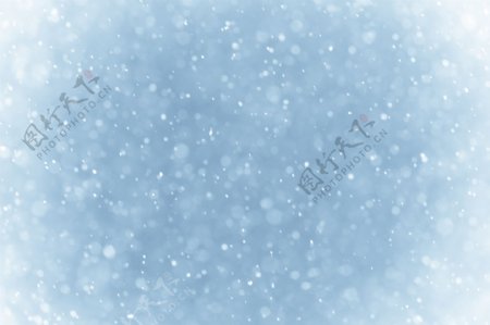 冬季雪景雪花高清图片2