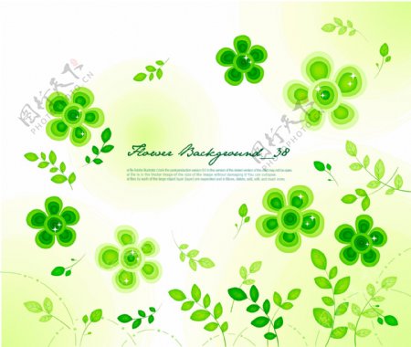 绿色花朵图片