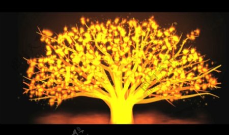 金色粒子树成长视频