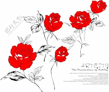 印花矢量图优雅植物玫瑰花毛衫印花优雅植物免费素材