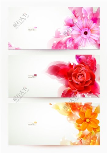 3款精美花卉横幅矢量素材