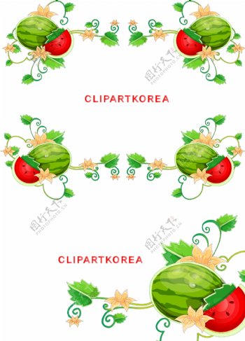 韩国植物花边边框矢量图10