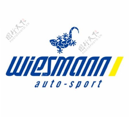 Wiesmannlogo设计欣赏Wiesmann体育比赛LOGO下载标志设计欣赏