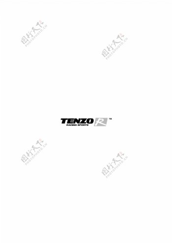 TenzoRlogo设计欣赏TenzoR运动赛事标志下载标志设计欣赏