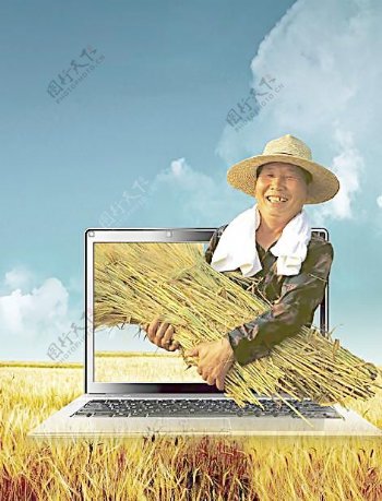 笔记本助力农业现代化图片