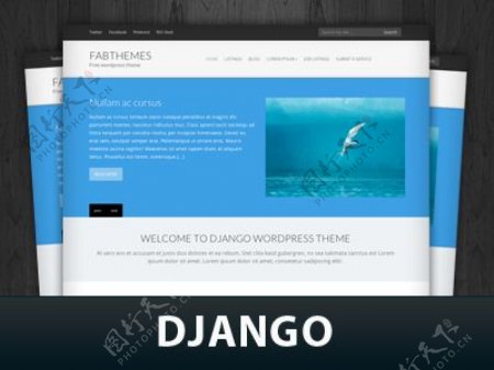 Django的WordPress主题网站可湿性粉剂杂志