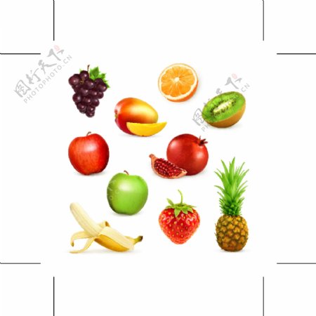 10款美味水果设计矢量素材.z