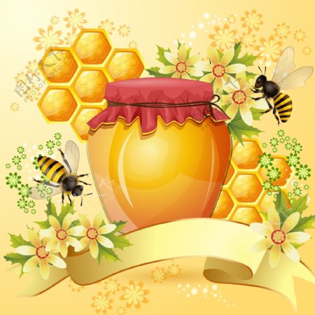 蜜蜂的蜂巢蜂蜜产品设计矢量素材03