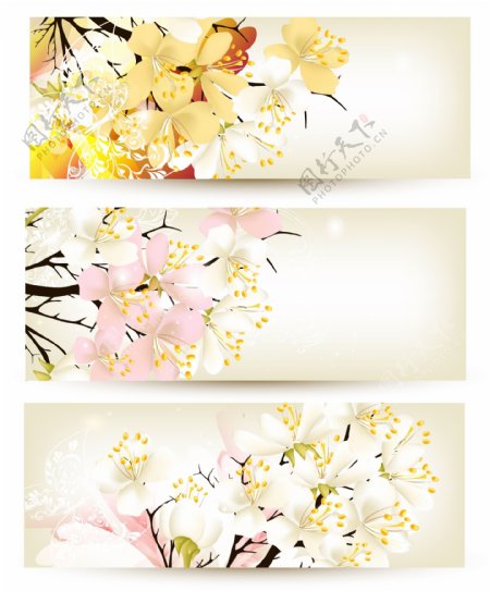 春天鲜花背景横幅图片