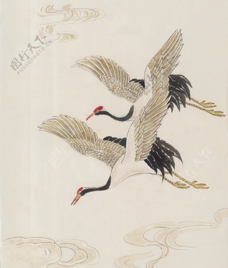 翅膀孔雀鸳鸯飞鸟丹顶鹤中华艺术绘画