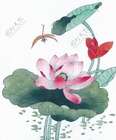 中华艺术绘画古画花朵花卉中国古代绘画1