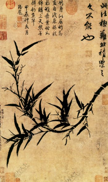 竹叶竹子中国风竹竿中华艺术绘画植物