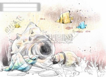 HanMaker韩国设计素材库背景淡彩色调意境绘画风格鱼贝壳海螺海底