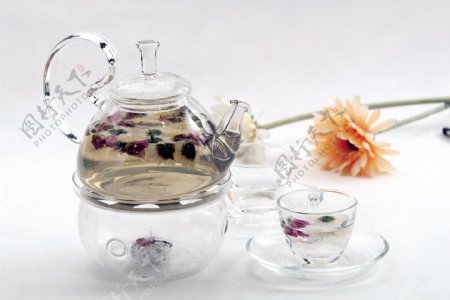 蜂蜜玫瑰菊花茶图片