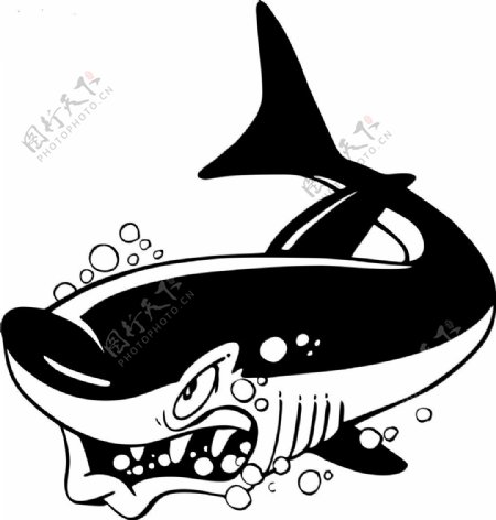 黑白卡通动物鲨鱼