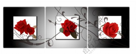 玫瑰无框画素材图片