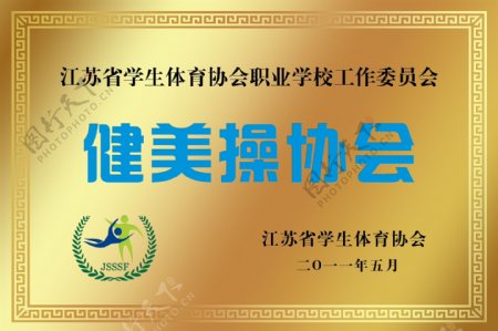 江苏省学生体育协会授健美操协会铜牌图片