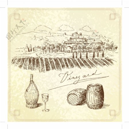 旧货手工绘制的葡萄园的背景