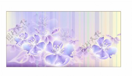 蓝紫色唯美花卉图案