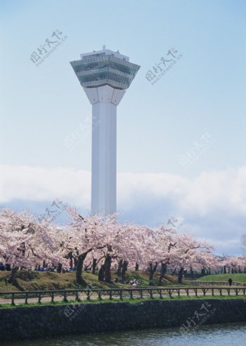 北海道春季美景图片