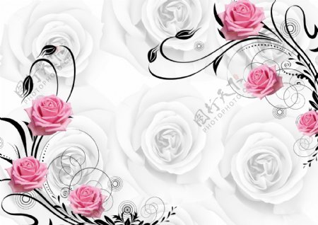 温馨玫瑰背景图片