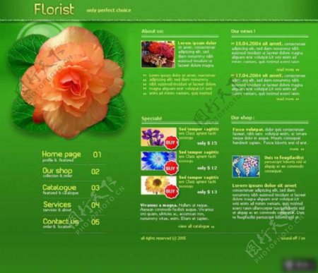 绿色绽放花卉中心网页模板