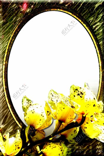 黄色花朵相框图片