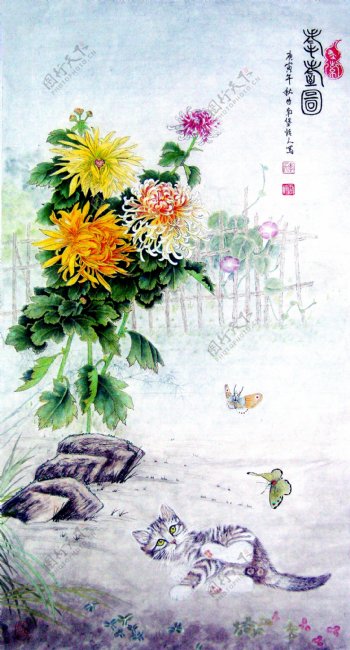 菊花图图片