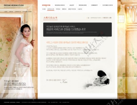 婚纱摄影工作室网页模板多图层2个页面含flash图片