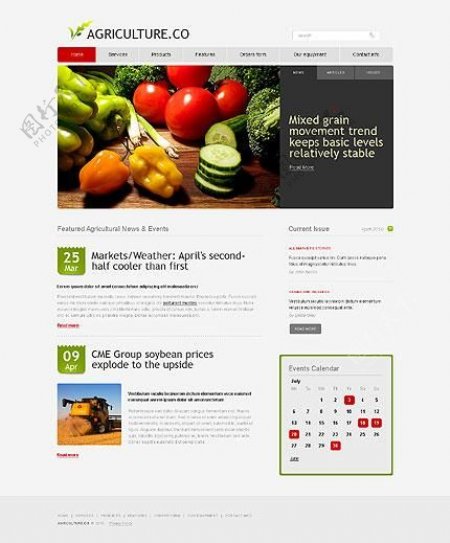 餐饮美食行业网页设计