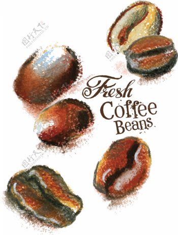 精美彩绘咖啡豆矢量图