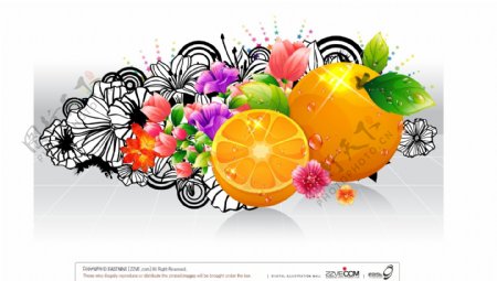 单车花朵与橙子颜料等创意矢量素材