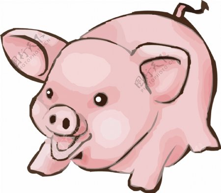 动物猪韩国矢量图25