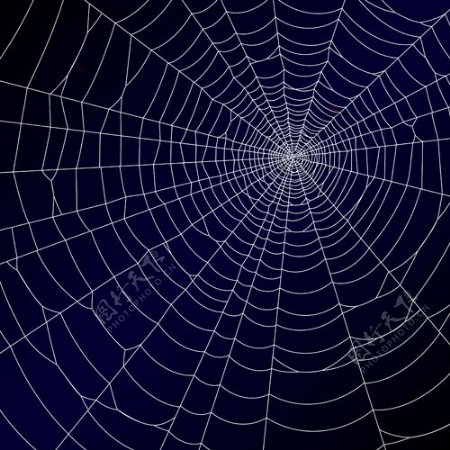矢量图形的蜘蛛网设计背景04